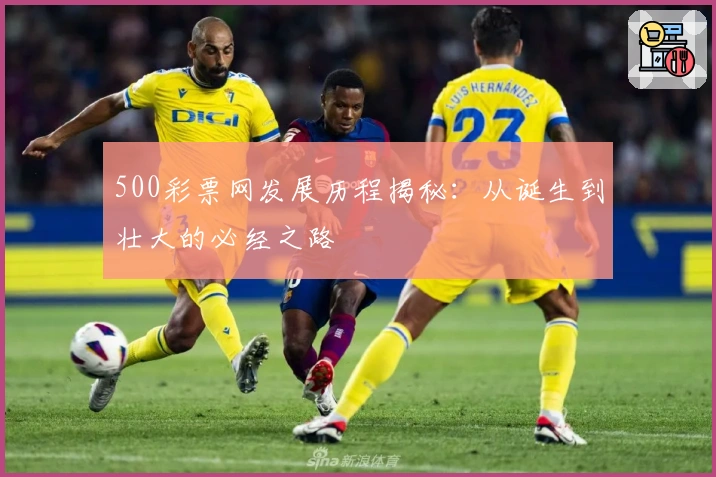 500彩票网发展历程揭秘：从诞生到壮大的必经之路