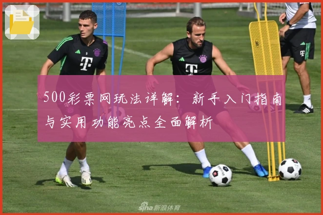 500彩票网玩法详解：新手入门指南与实用功能亮点全面解析