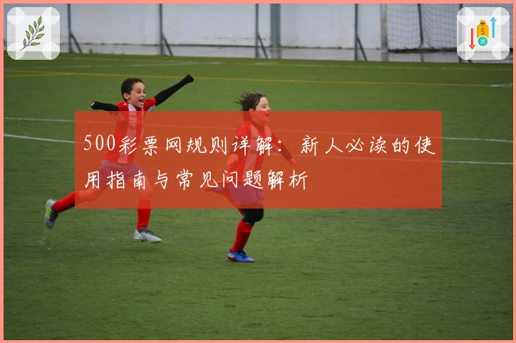 500彩票网规则详解：新人必读的使用指南与常见问题解析